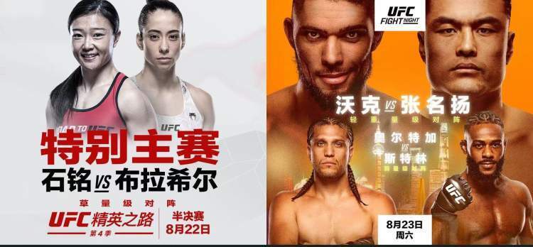 承接和转化, 育局, MMA 承接和转化, 育局, MMA