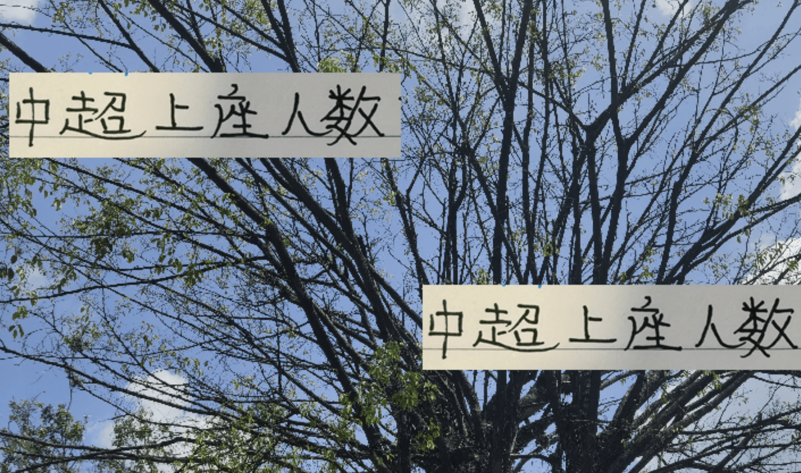 场比赛进入, 难得中超T 场比赛进入, 难得中超T