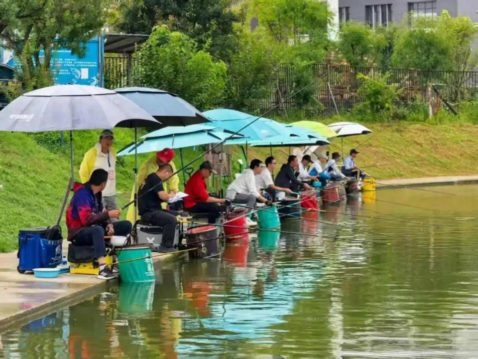 未来将持续 未来将持续