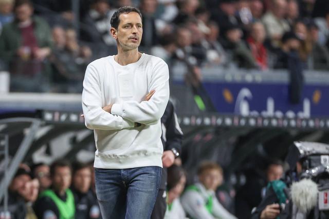 尤其是在柏 尤其是在柏